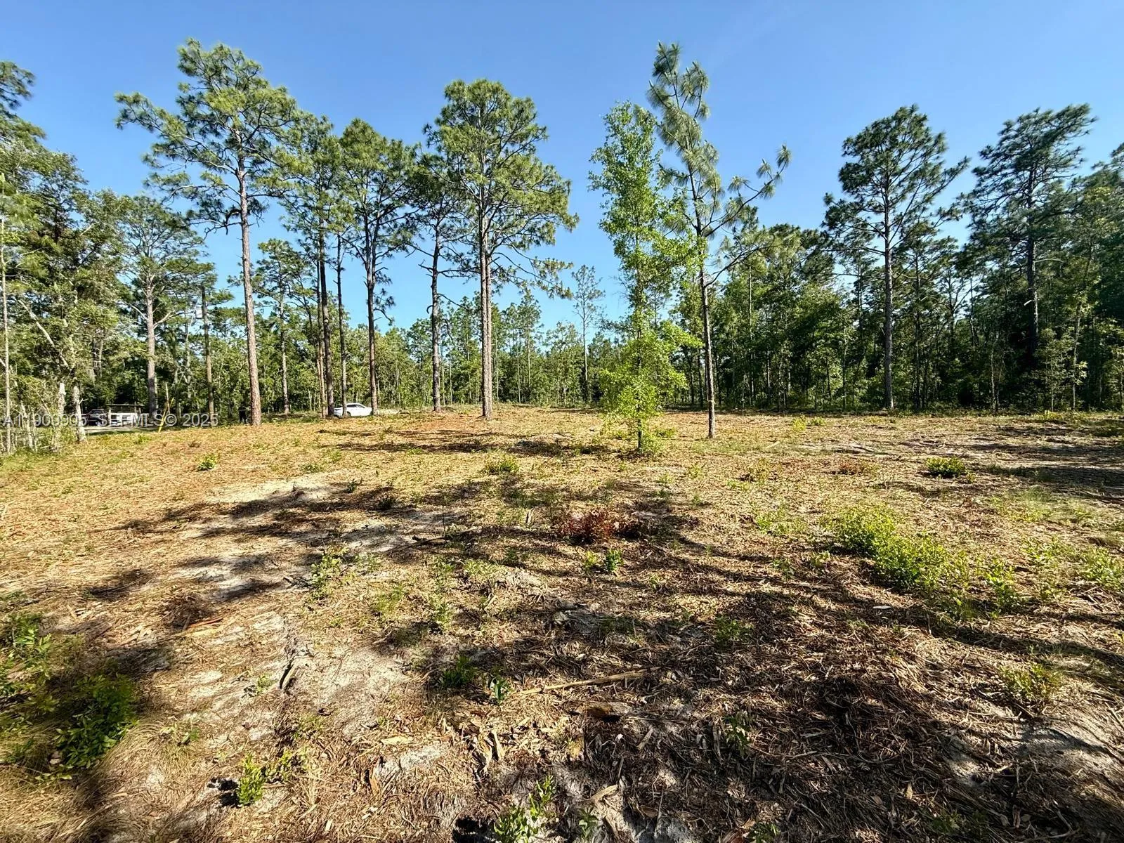 Foto de propiedad en 0 NW 157th Avenue, Williston, FL 32696 Williston con MLS# 