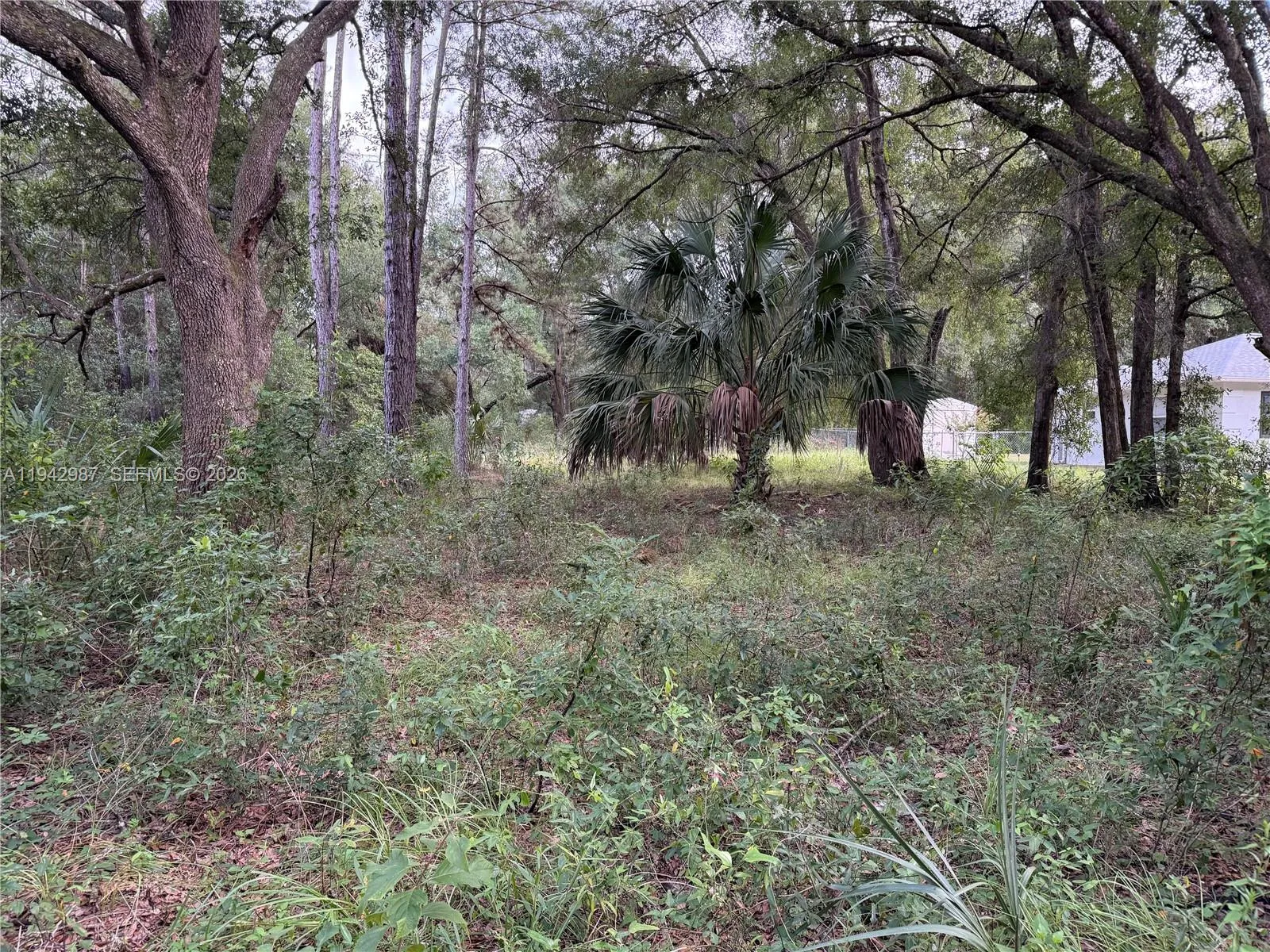 En Venta 0 St Benedict Drive, FL 34432, FL 34432