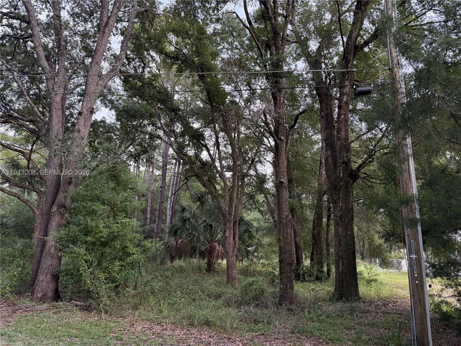 En Venta 0 St Benedict Drive, FL 34432, FL 34432