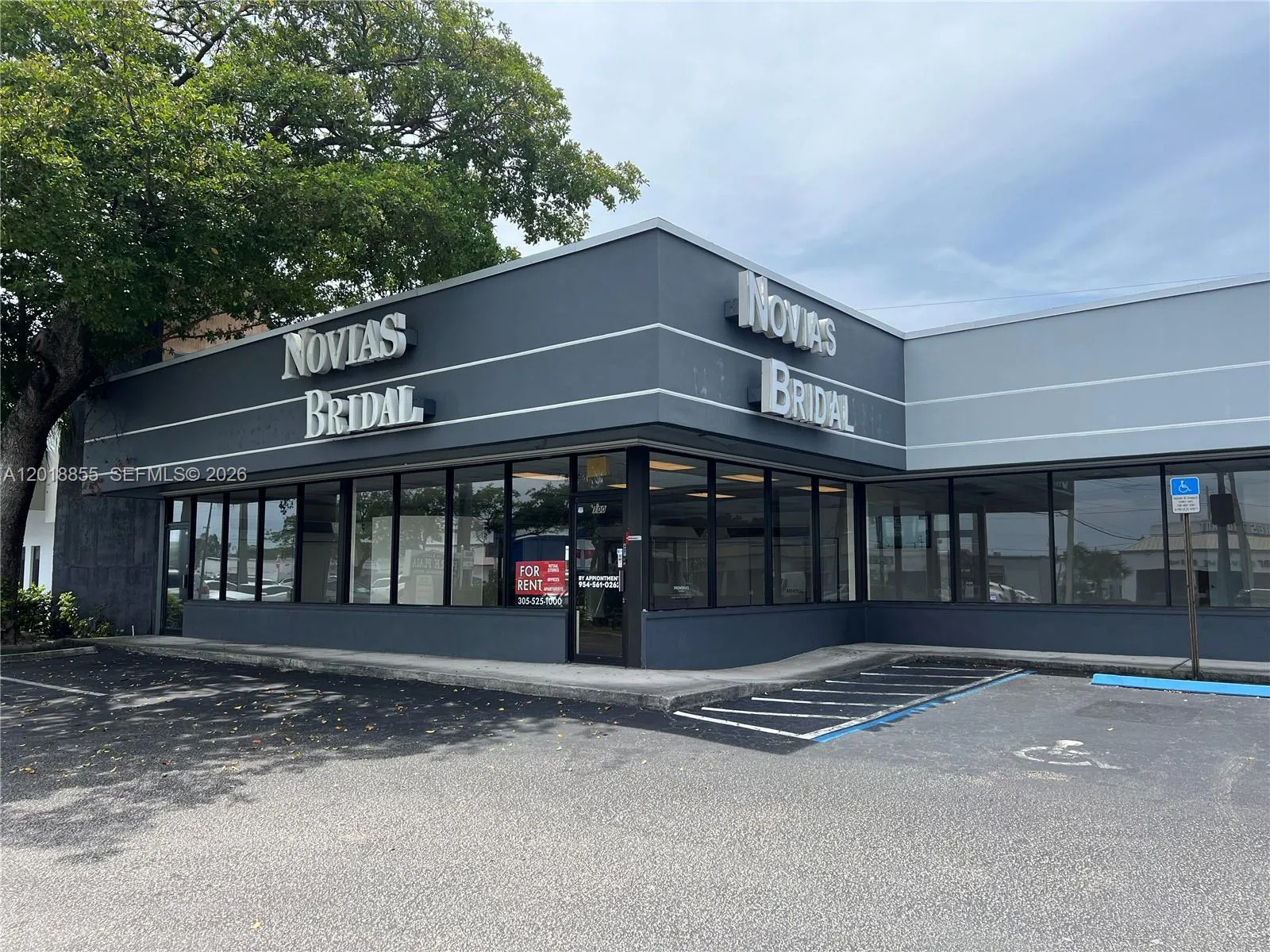 Alquilada 100 E Oakland Park Boulevard 100, Wilton Manors, FL 33334, Wilton Manors, FL 33334
