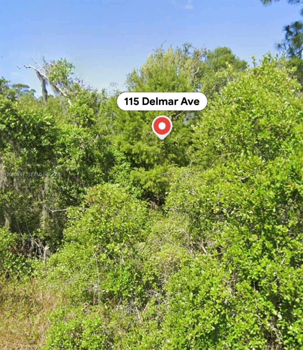 En Venta 115 Delmar Avenue, Lake Placid, FL 33852, Lake Placid, FL 33852