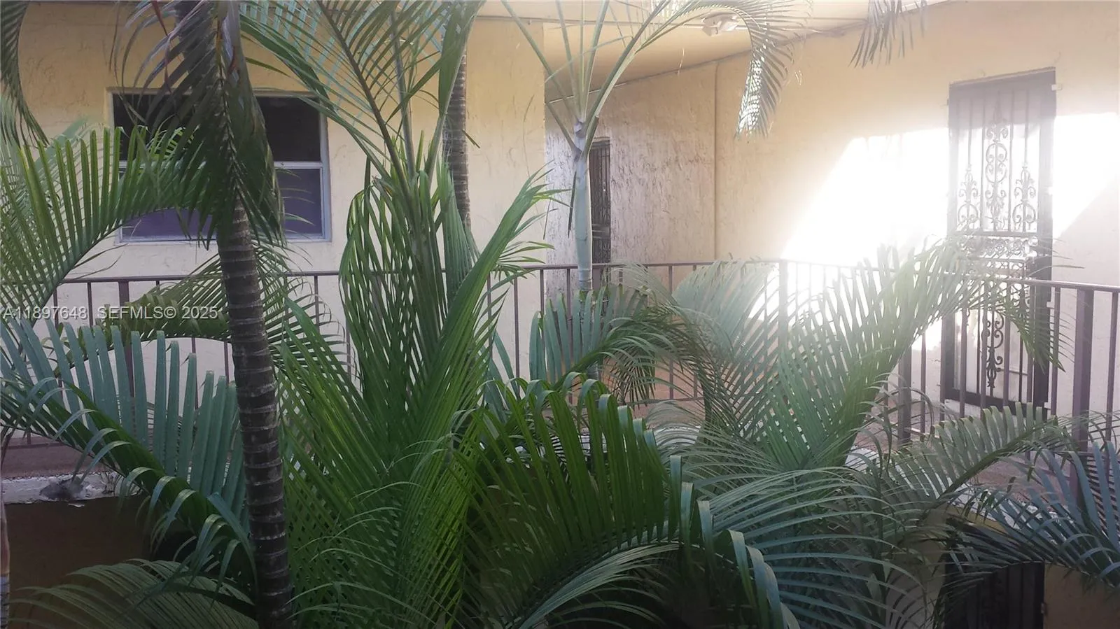 Vendido 11905 NE 2nd Avenue C308, North Miami, FL 33161, North Miami, FL 33161