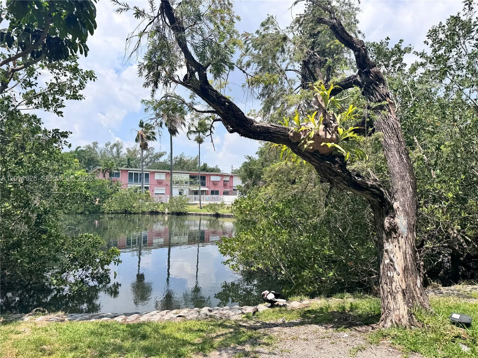 Foto de propiedad en 12590 NE 16th Avenue 209, North Miami, FL 33161 North Miami con MLS# 