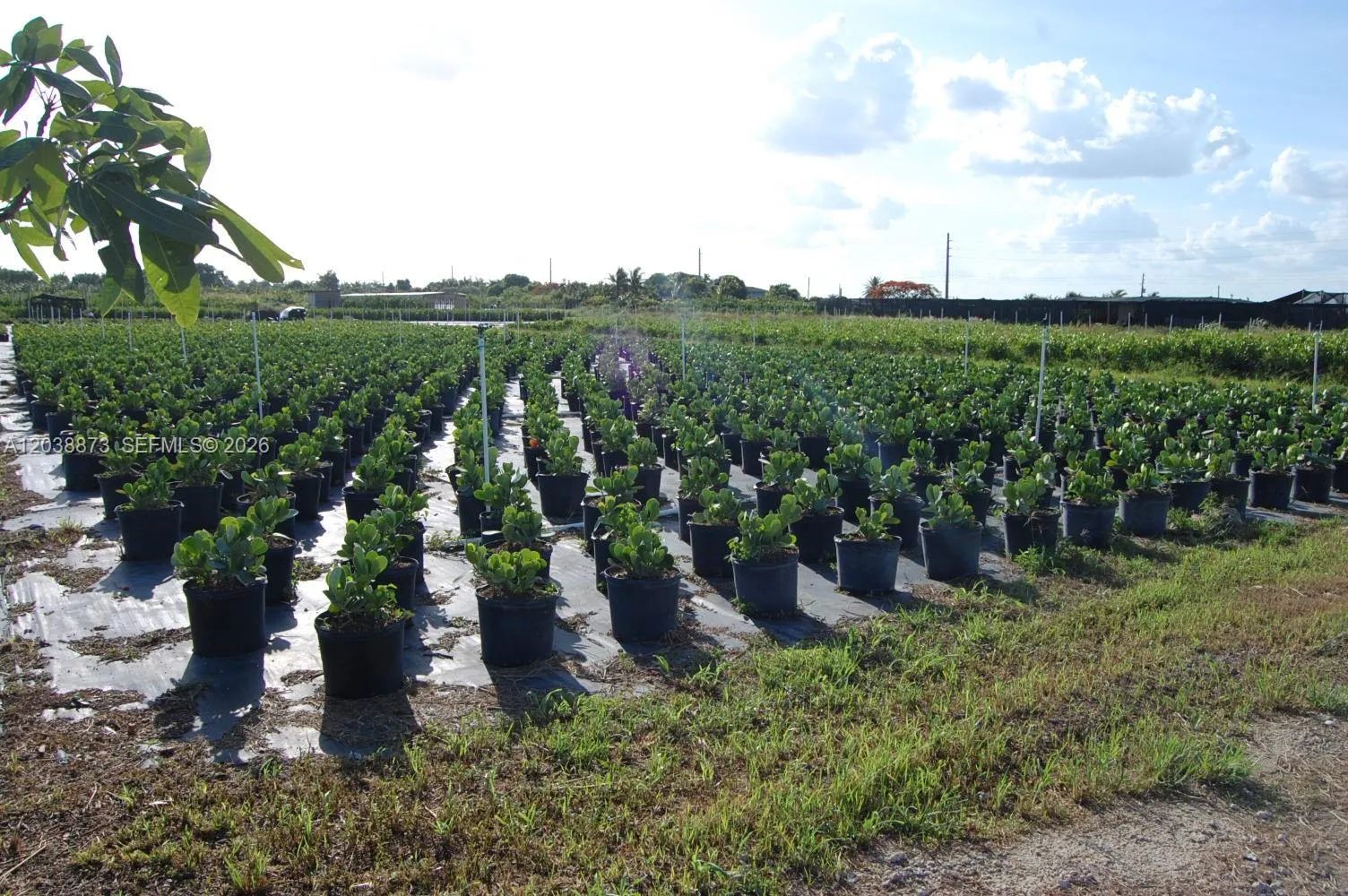 En Venta 13648 SW 177 Avenue, Homestead, FL 33196, Homestead, FL 33196