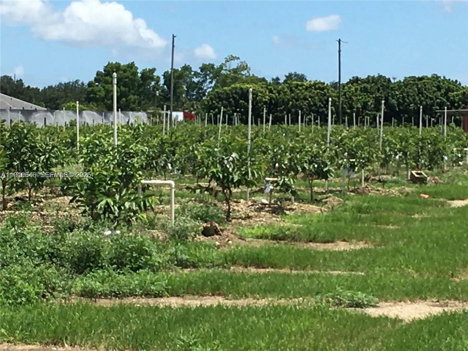 Foto de propiedad en 15000 SW 256 Street, Homestead, FL 33032 Homestead con MLS# 