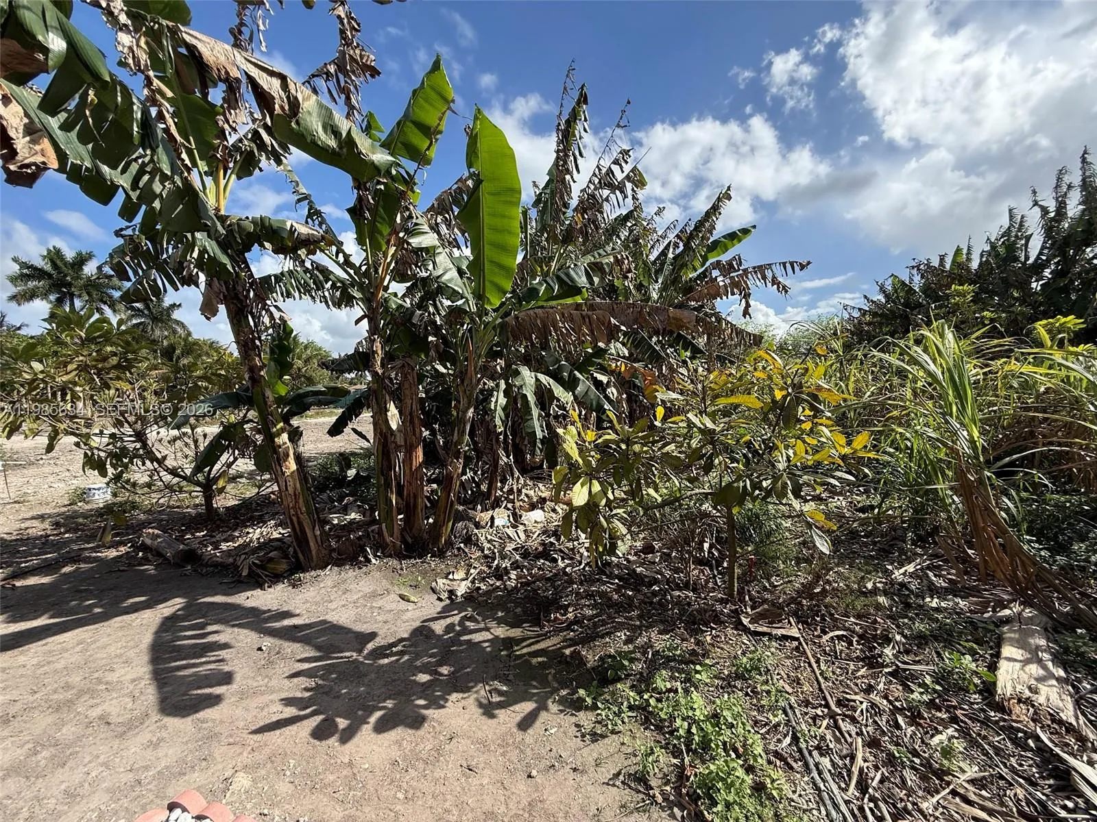 Vendido 16455 SW 207, Homestead, FL 33187, Homestead, FL 33187