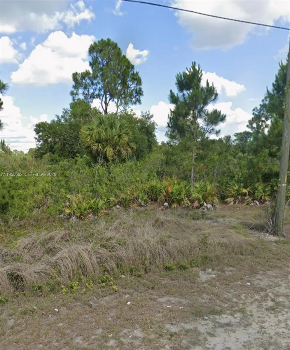 En Venta 169 Thornton Avenue S, Lehigh Acres, FL 33974, Lehigh Acres, FL 33974