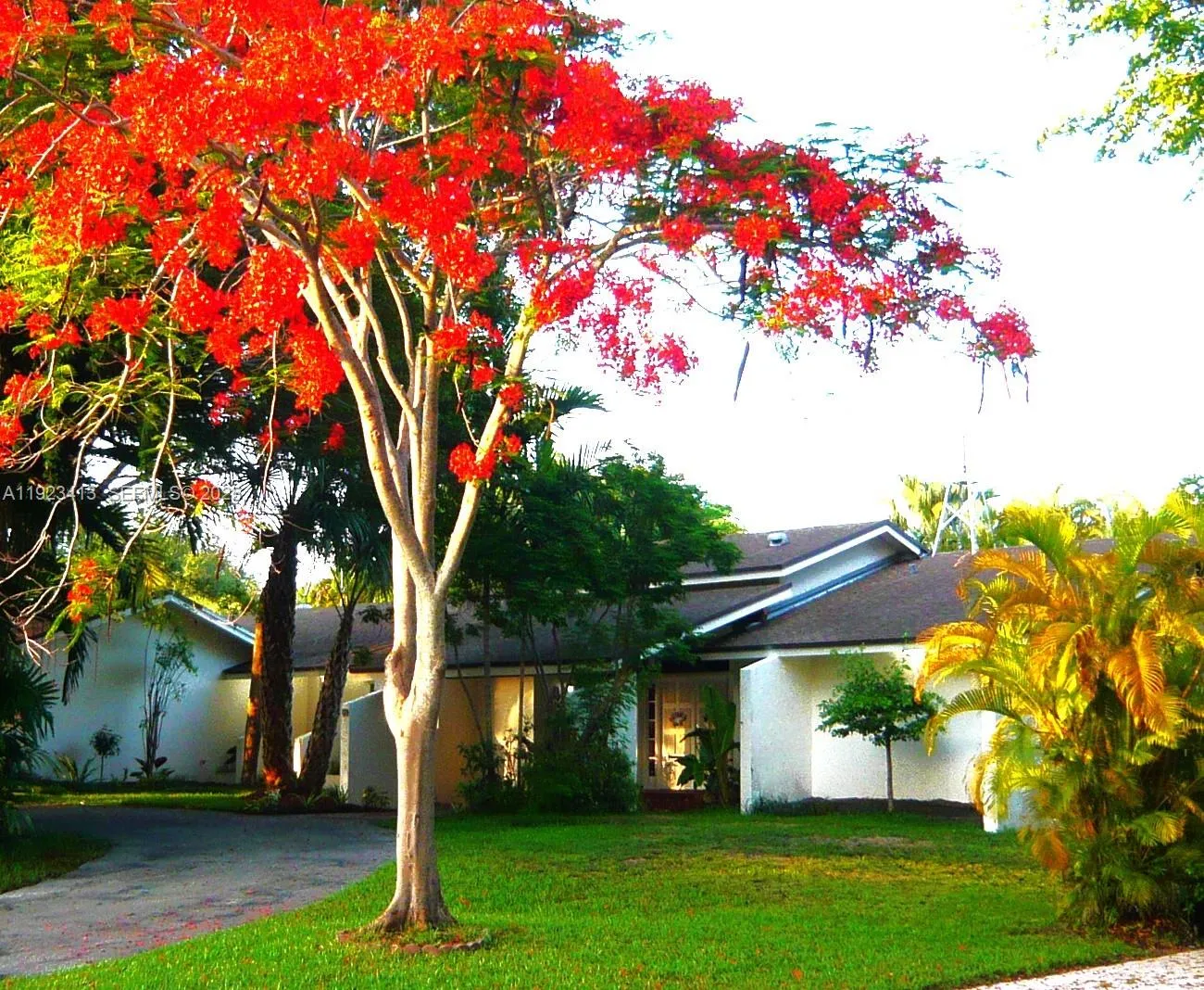 Foto de propiedad en 17123 SW 78th Place, Palmetto Bay, FL 33157 Palmetto Bay con MLS# 