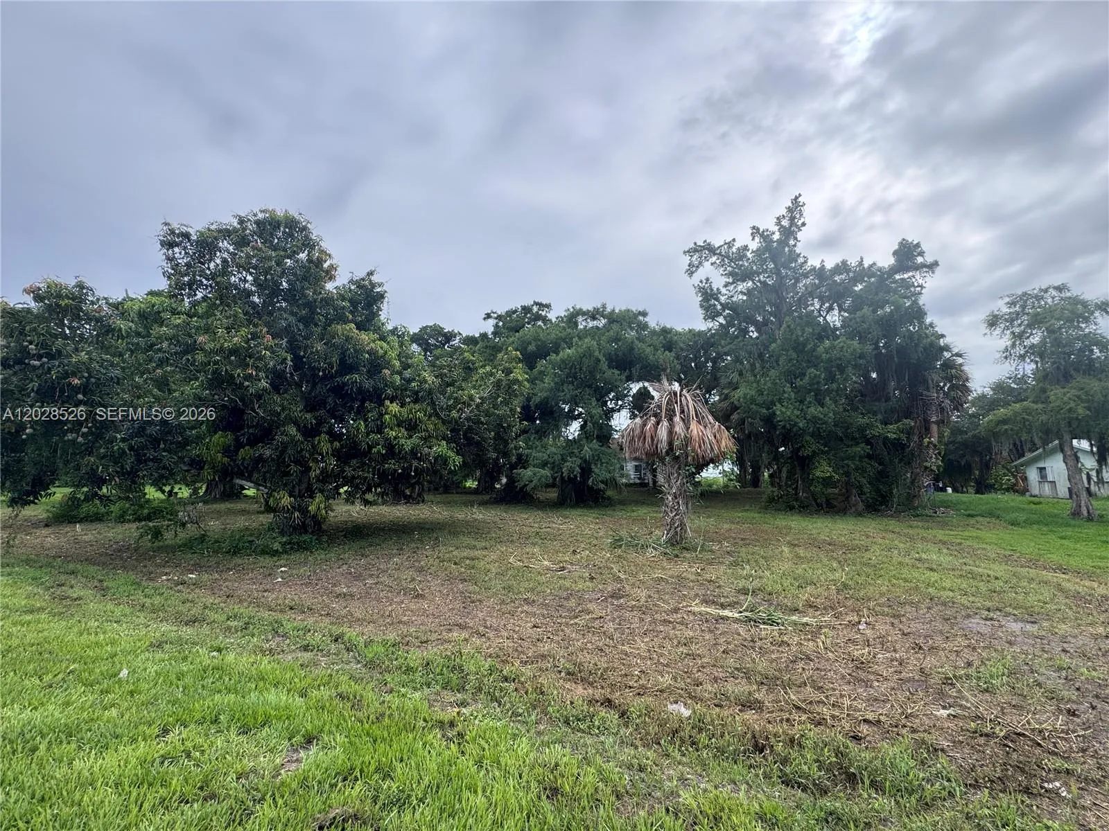 Foto de propiedad en 19121 SW Conners Highway, Okeechobee, FL 33438 Okeechobee con MLS# 