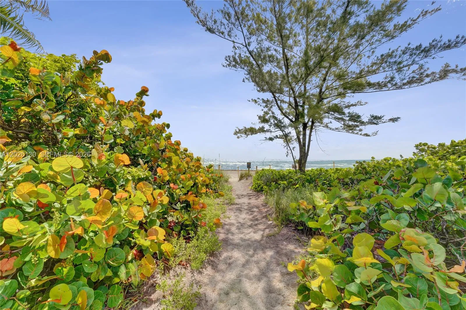 Foto de propiedad en 1936 S Ocean Drive 4C, Hallandale Beach, FL 33009 Hallandale Beach con MLS# 