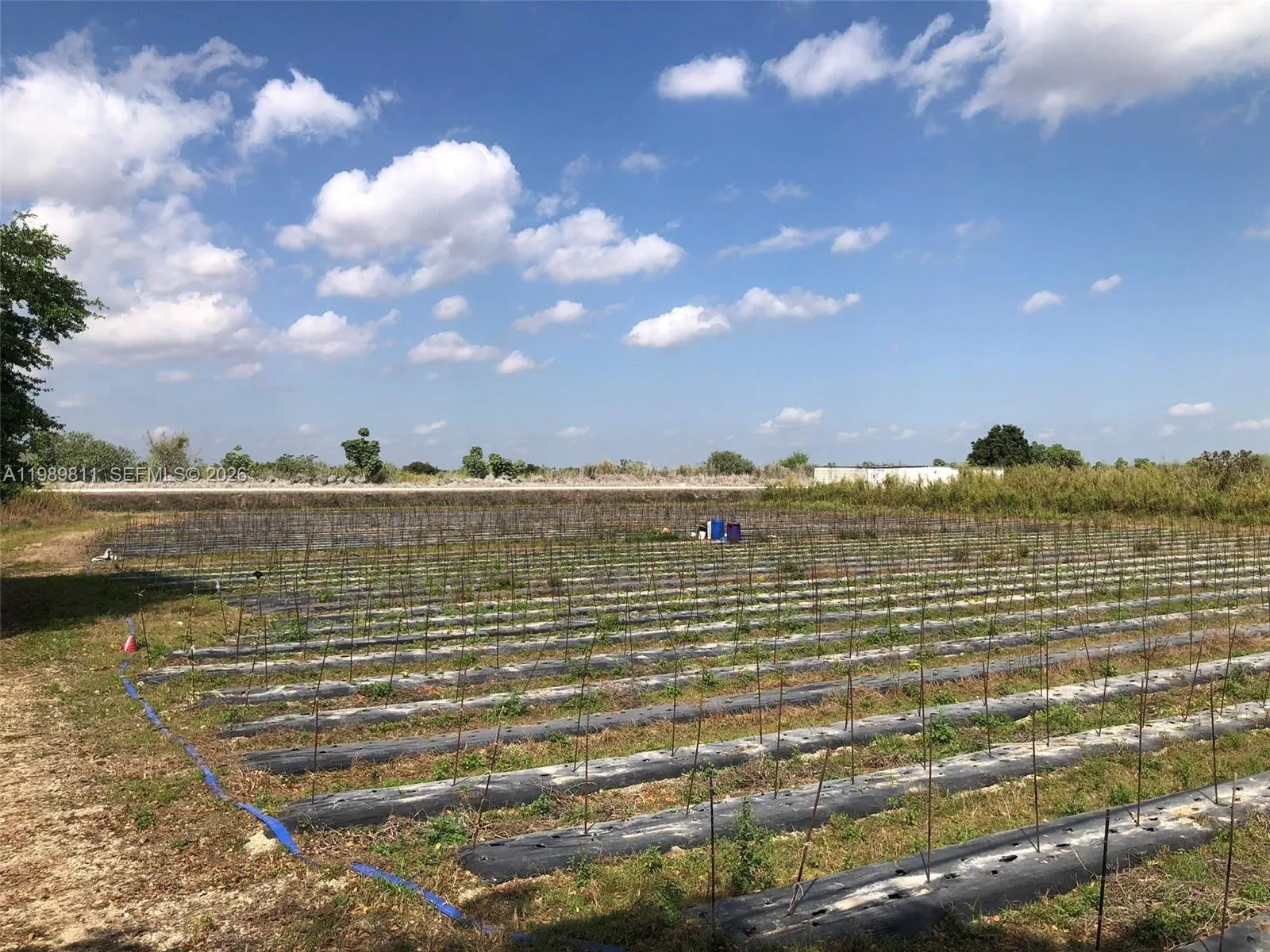 Foto de propiedad en 19550 SW 207 Avenue, Miami, FL 33187 Miami con MLS# 