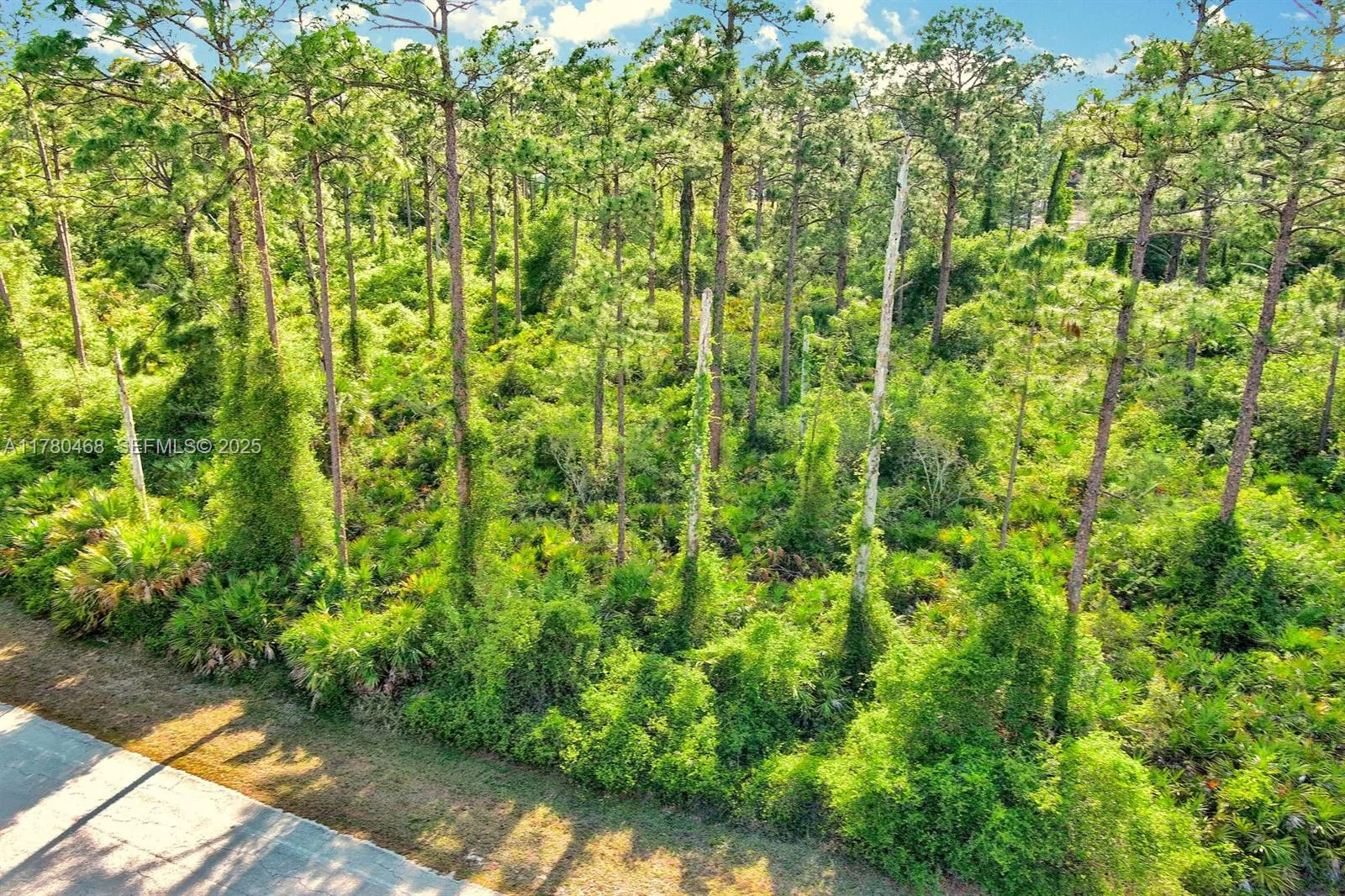 En Venta 2019 Columbus Avenue, Lehigh Acres, FL 33920, Lehigh Acres, FL 33920