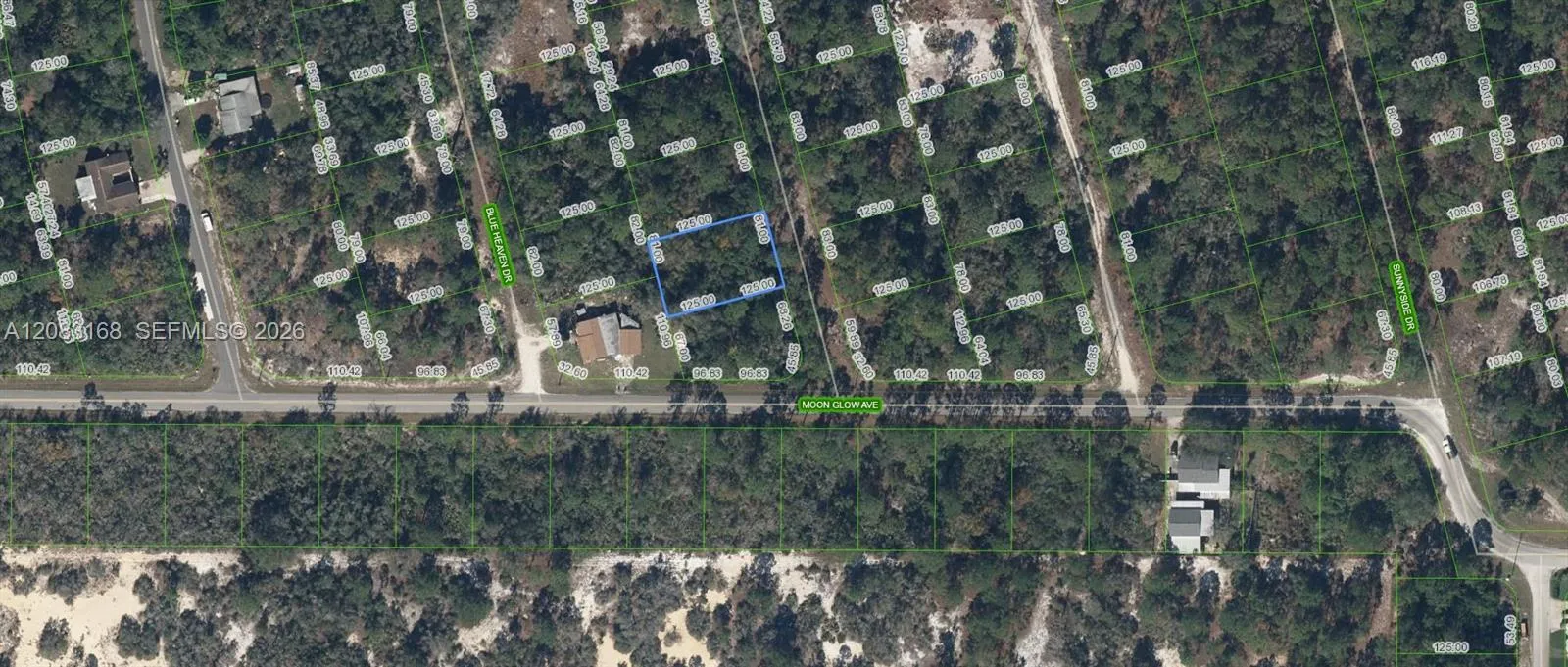En Venta 204 Rainbow Drive, Lake Placid, FL 33852, Lake Placid, FL 33852