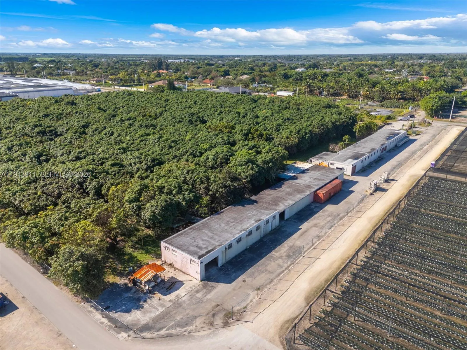 FULLY FENCED 700 MANGO TREES 13500 packing coolers and offices
