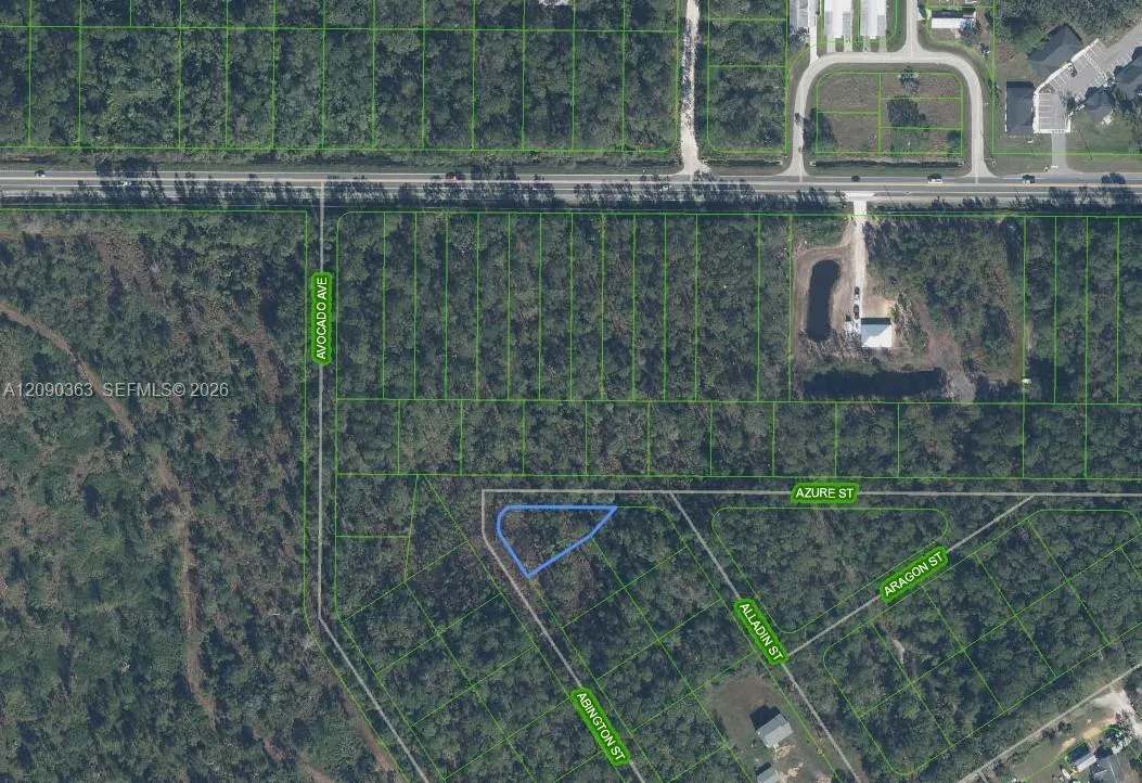 En Venta 2124 Abington Street, Sebring, FL 33875, Sebring, FL 33875