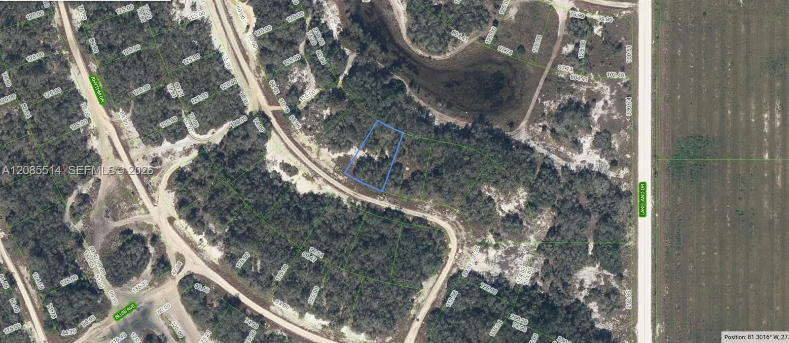 En Venta 213 Dargen Drive, Lake Placid, FL 33852, Lake Placid, FL 33852