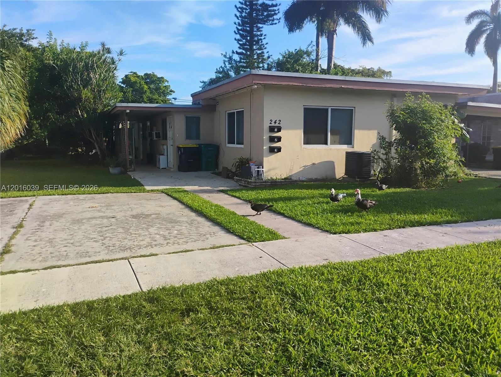 Alquilada 242 SE Park Street 1-3, Dania Beach, FL 33004, Dania Beach, FL 33004