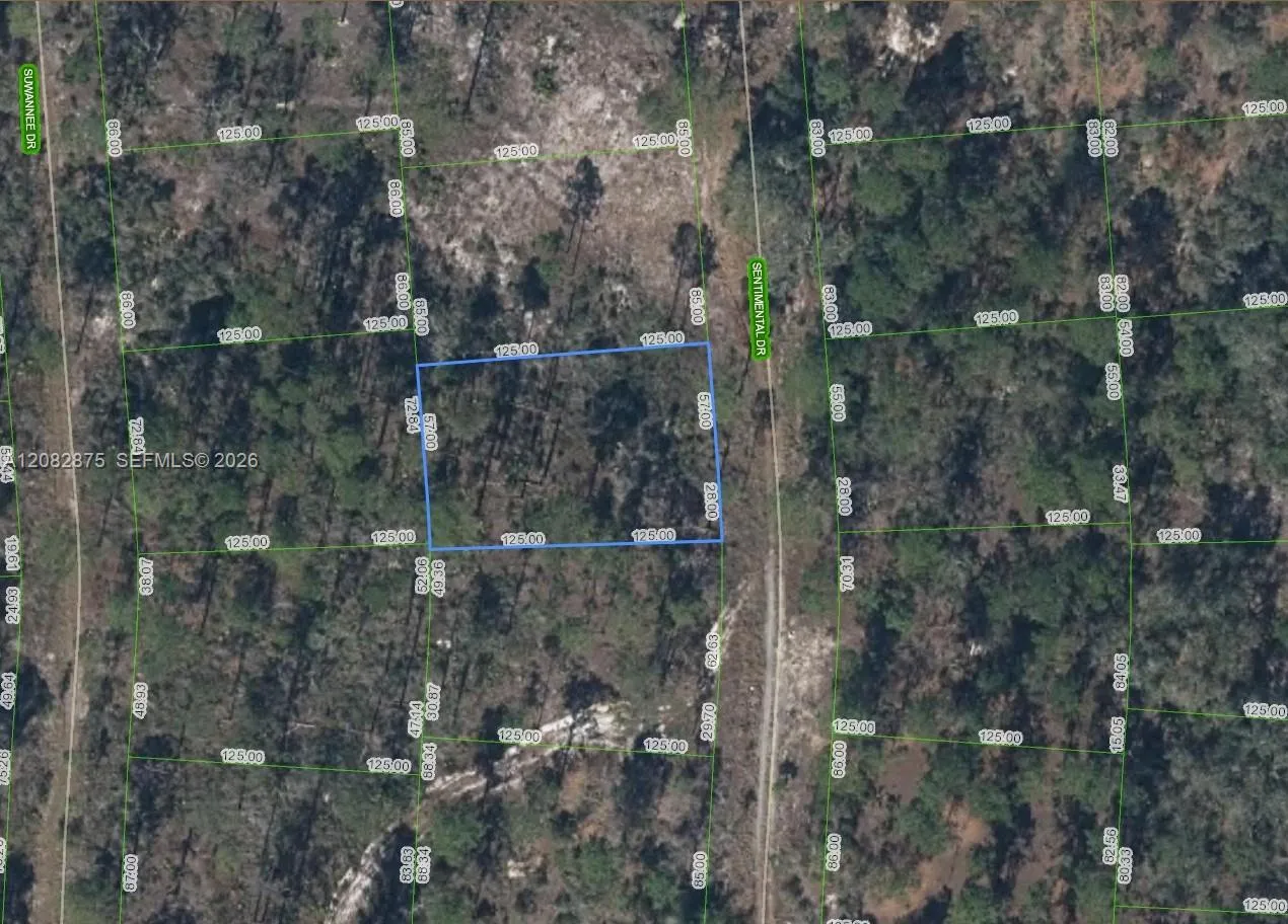 En Venta 264 Sentimental Drive, Lake Placid, FL 33852, Lake Placid, FL 33852