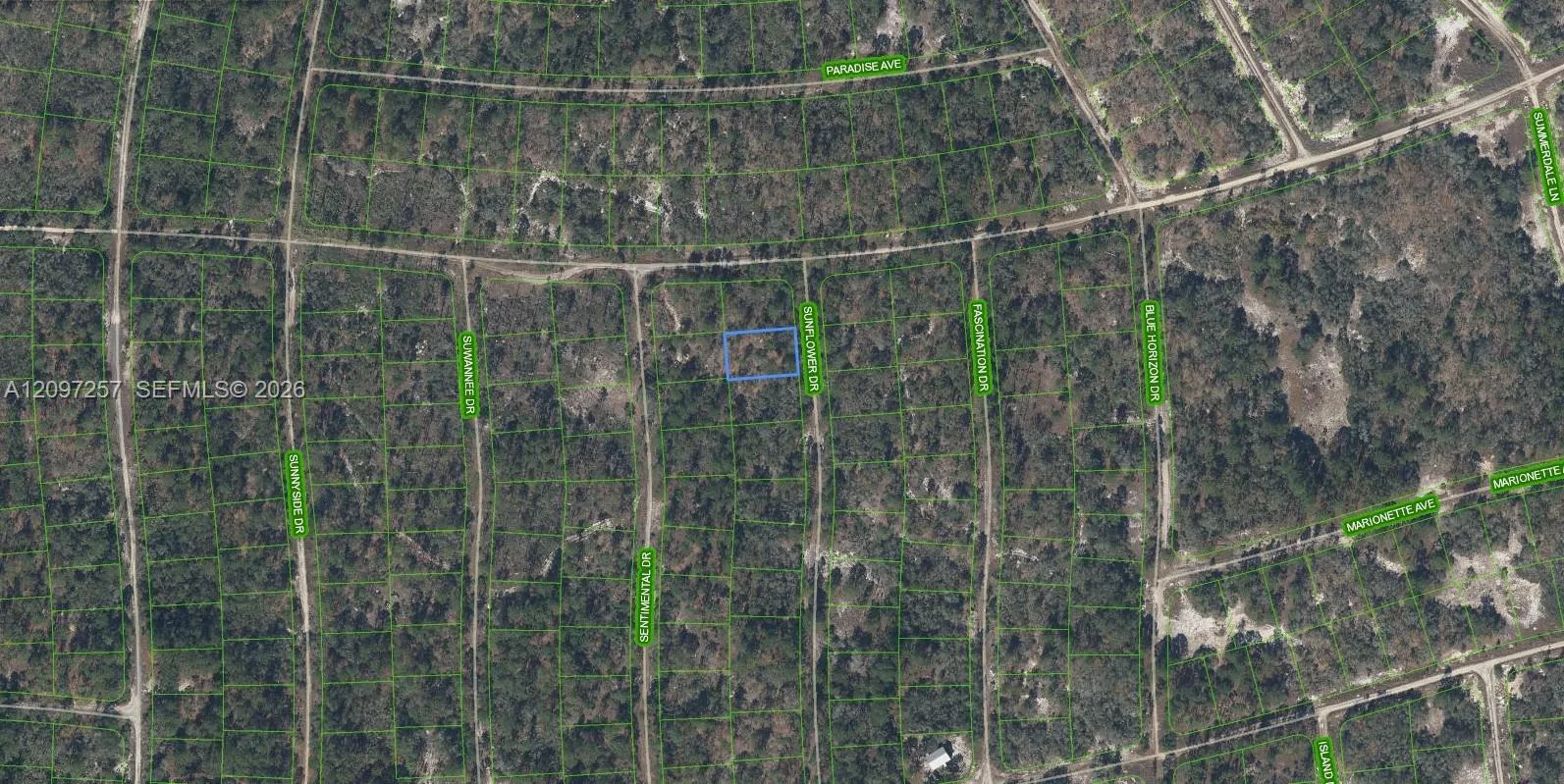 En Venta 272 Sun Flower Drive, Lake Placid, FL 33852, Lake Placid, FL 33852