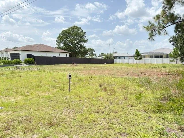 Left side of the Vacant Lot with RS-1 zoning
