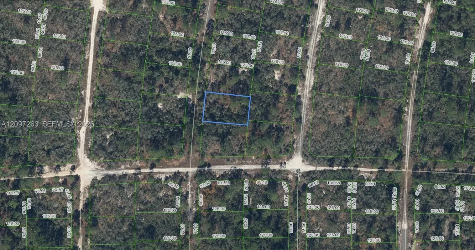 En Venta 305 Blue Heaven Drive, Lake Placid, FL 33852, Lake Placid, FL 33852