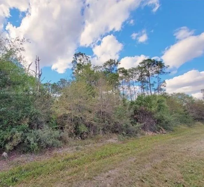 En Venta 305 Yeehaw Avenue, Clewiston, FL 33040, Clewiston, FL 33040