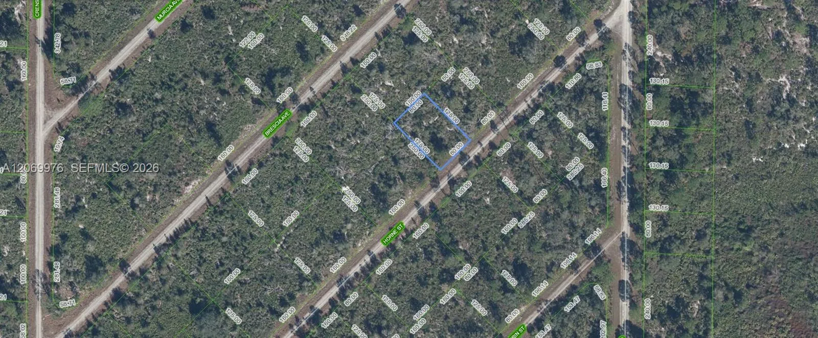 En Venta 3451 Lake June, Lake Placid, FL 33852, Lake Placid, FL 33852
