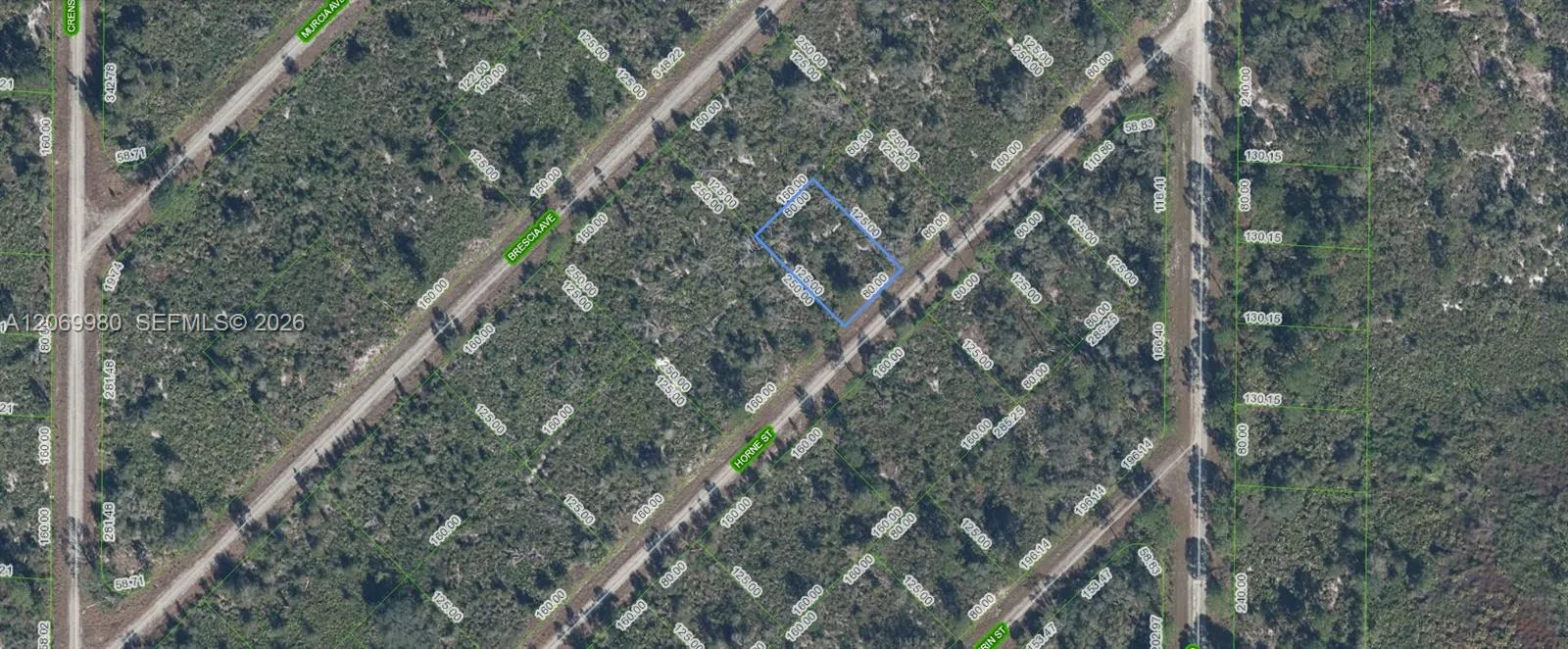 En Venta 3517 Horne Street, Lake Placid, FL 33852, Lake Placid, FL 33852