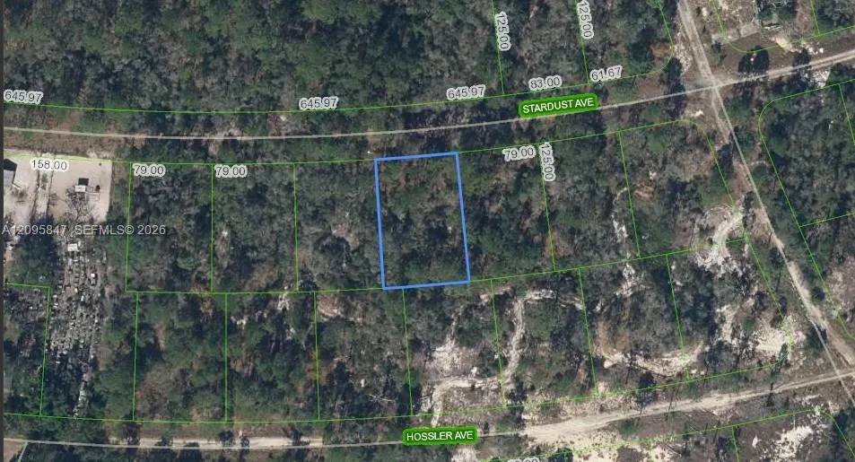 En Venta 365 Stardust Avenue, Lake Placid, FL 33852, Lake Placid, FL 33852