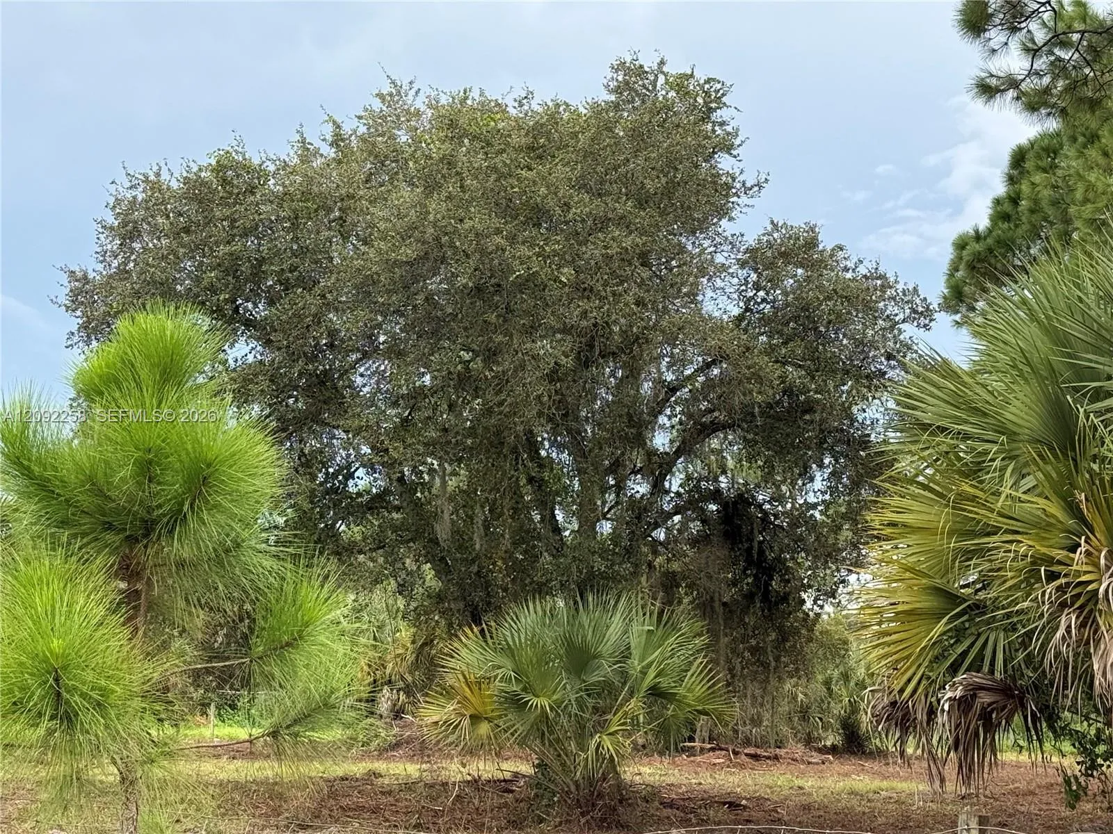 En Venta 380 S Lindero Street, Clewiston, FL 33440, Clewiston, FL 33440
