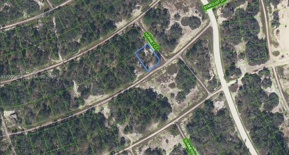 En Venta 408 Hornet Court, Lake Placid, FL 33852, Lake Placid, FL 33852