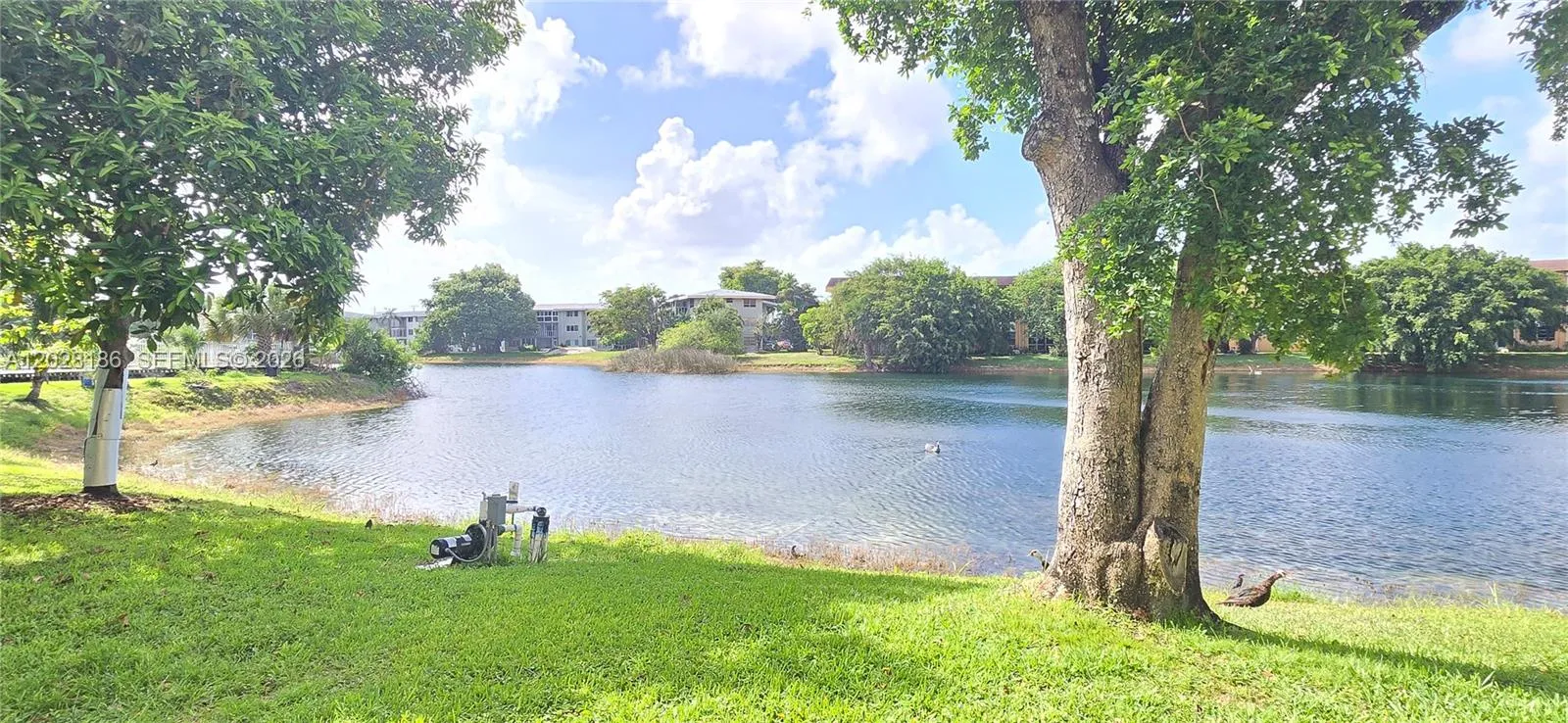 En Renta 5335 NW 10th Court 307, Plantation, FL 33313, Plantation, FL 33313