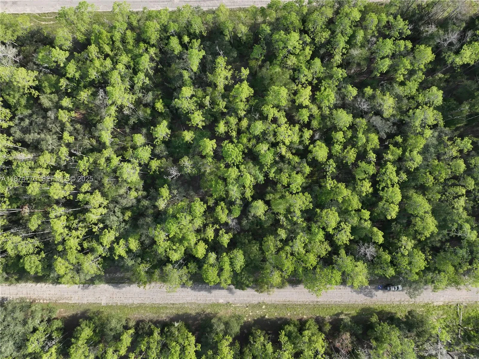 En Venta 598 E Marquette Lane, FL 34434, FL 34434