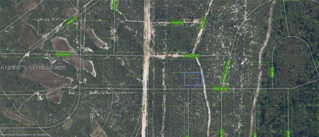 En Venta 6033 Royal Palm Street, Sebring, FL 33870, Sebring, FL 33870