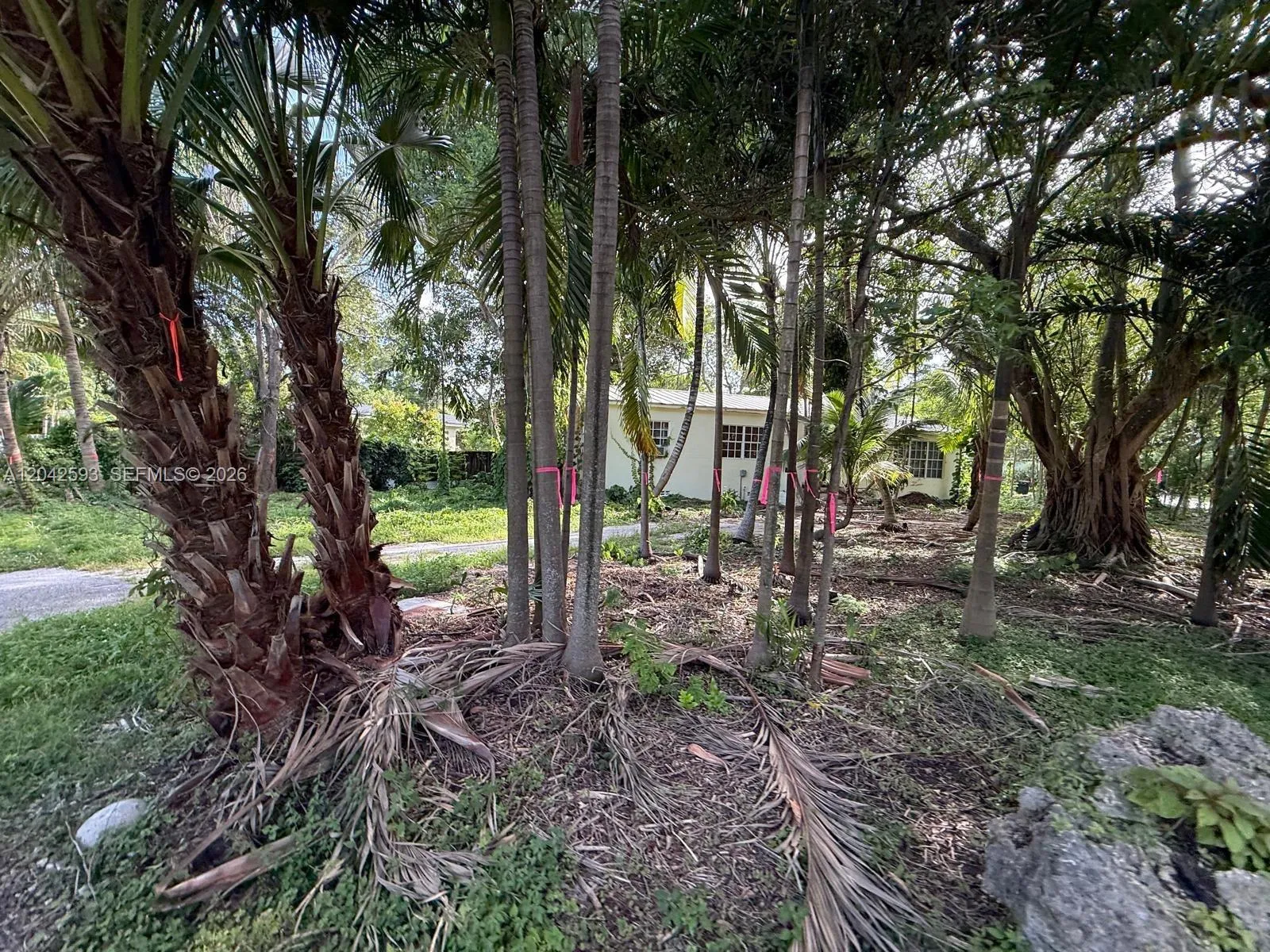 Foto de propiedad en 6600 SW 64th Court, South Miami, FL 33143 South Miami con MLS# 