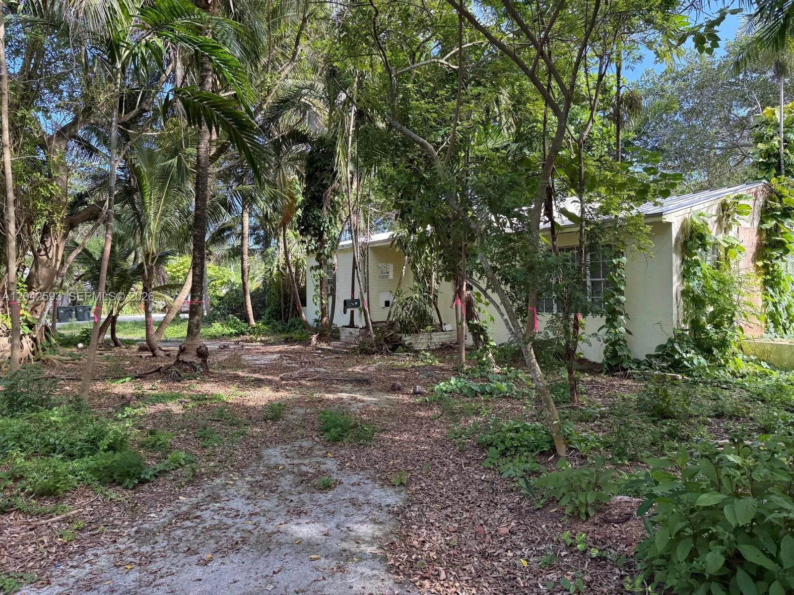 En Venta 6600 SW 64th Court, South Miami, FL 33143, South Miami, FL 33143