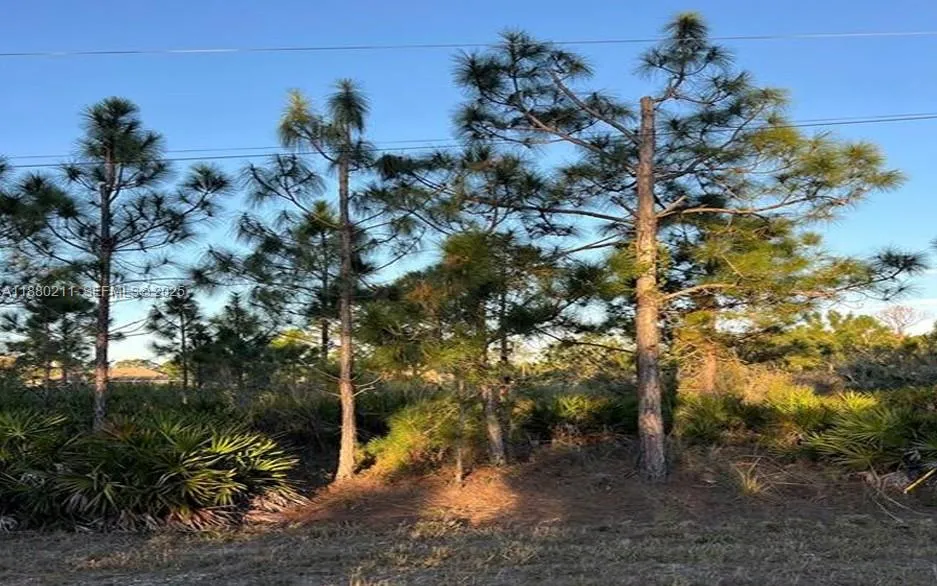 En Venta 676 Sabrina Court, Lehigh Acres, FL 33972, Lehigh Acres, FL 33972