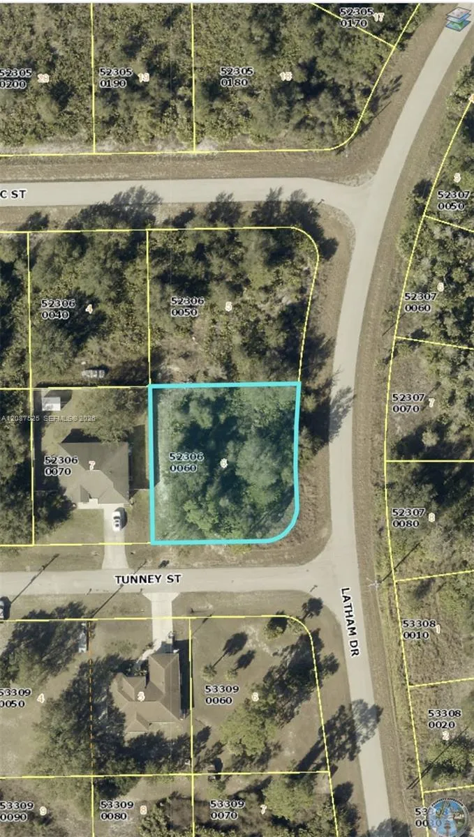 En Venta 710 Tunney Street, Lehigh Acres, FL 33972, Lehigh Acres, FL 33972