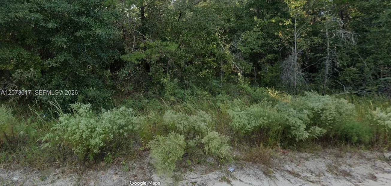 En Venta 7696 Casa Grande Boulevard, FL 32656, FL 32656