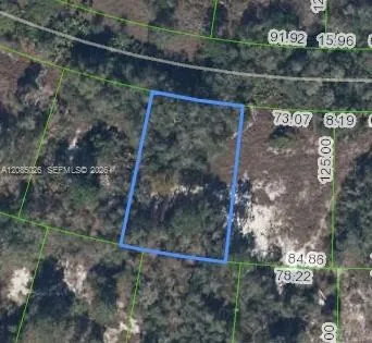 En Venta 783 Clair De Lune Drive, Lake Placid, FL 33852, Lake Placid, FL 33852