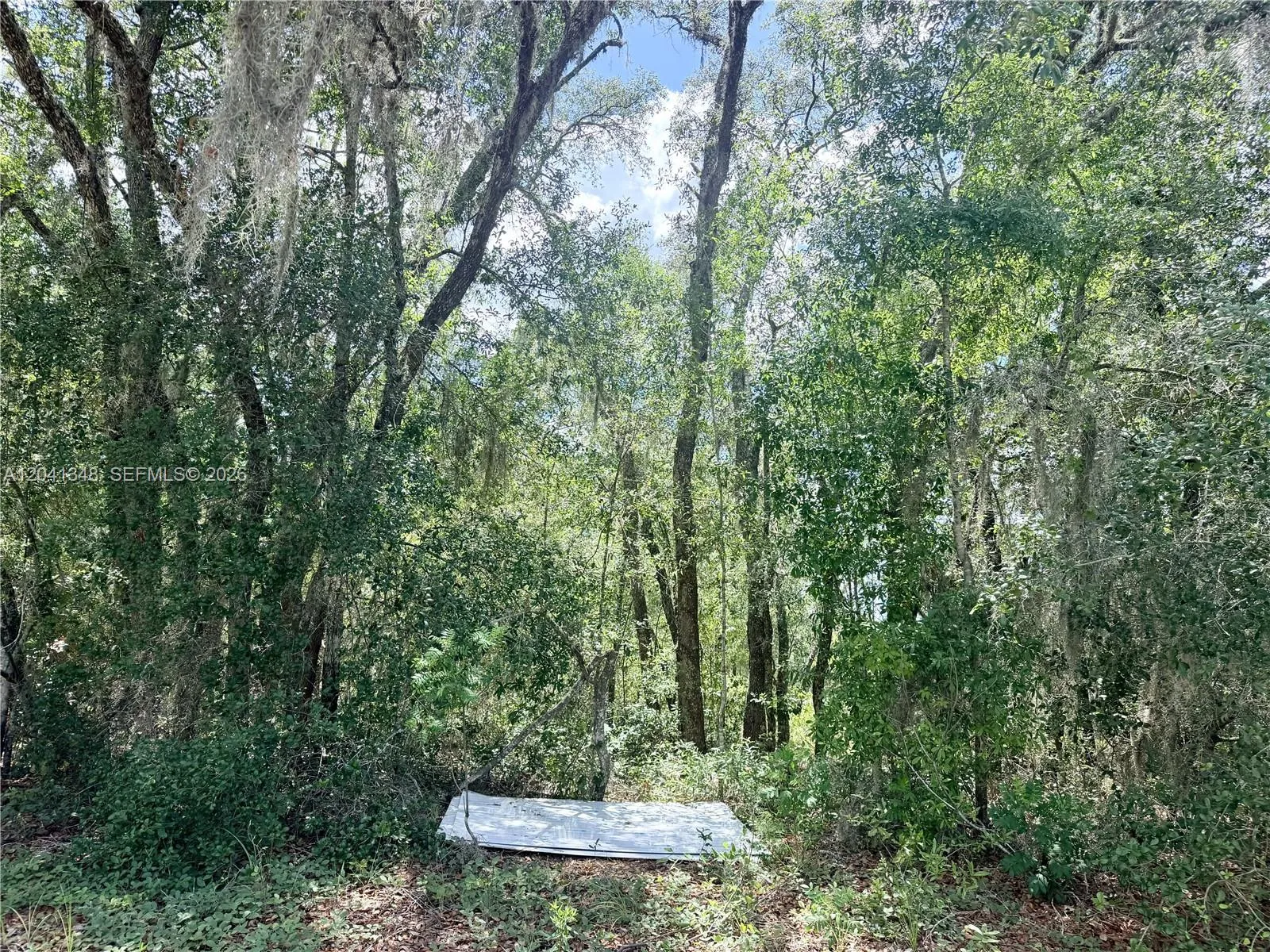 En Venta 7932 N Elkcam Boulevard, Citrus Springs, FL 34433, Citrus Springs, FL 34433