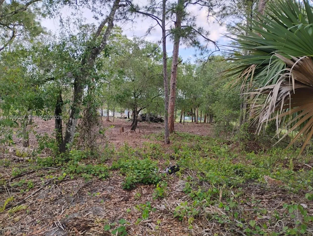 En Venta 845 Appaloosa Avenue, Clewiston, FL 33440, Clewiston, FL 33440