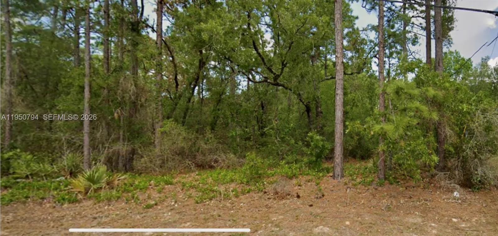 En Venta 8550 N Citrus Springs Boulevard, FL 34434, FL 34434
