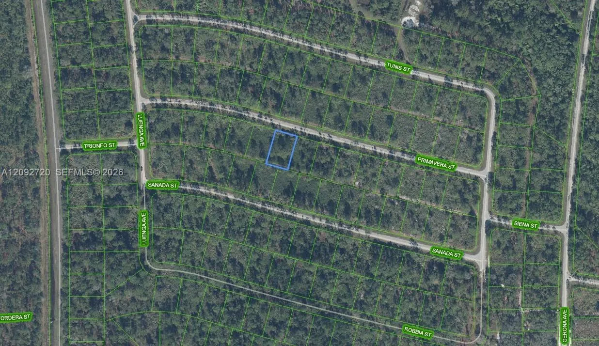 En Venta 8649 Primavera Street, Sebring, FL 33872, Sebring, FL 33872