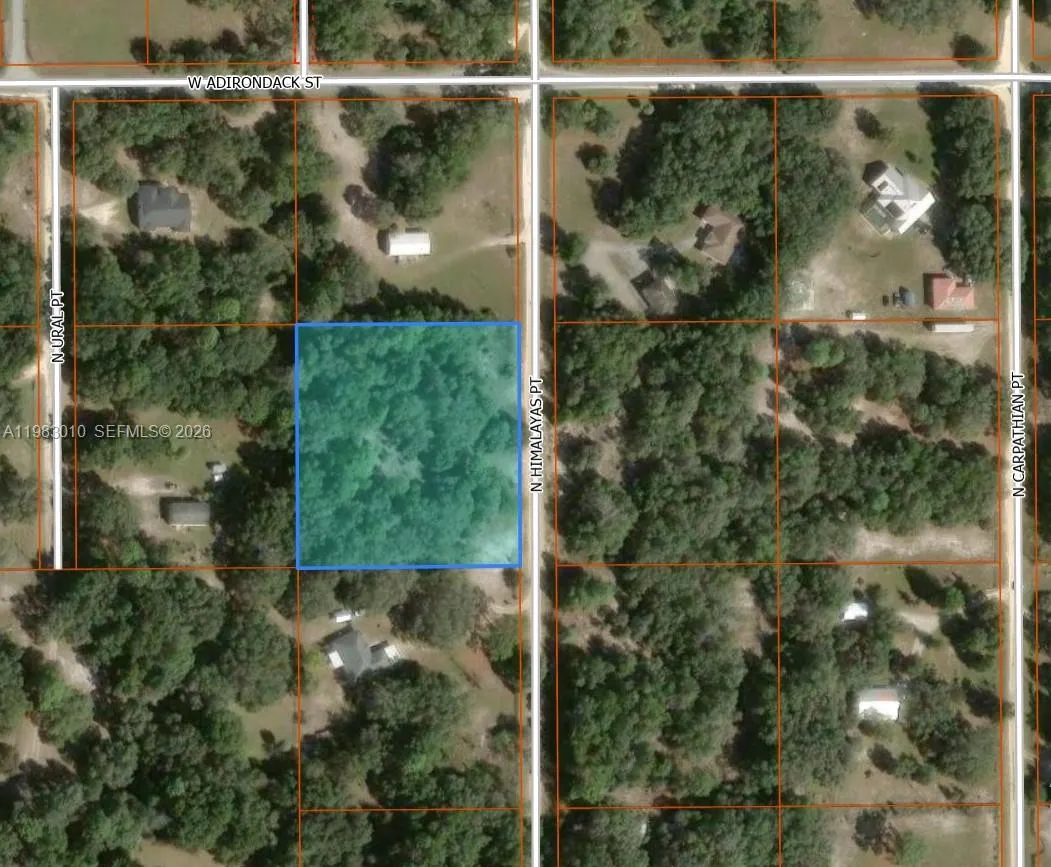 Foto de propiedad en 8668 N Himalayas Point, FL 34433  con MLS# 