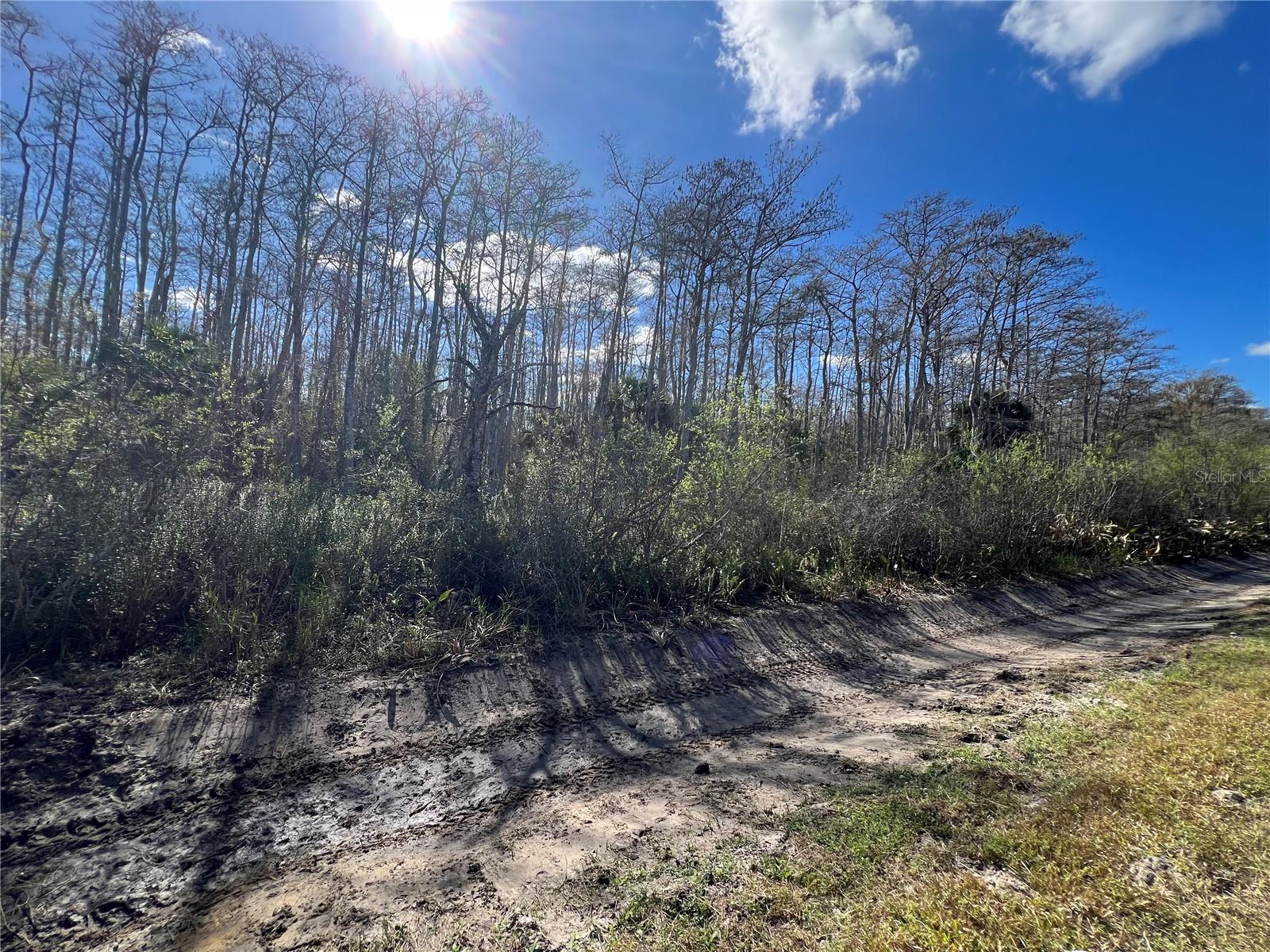 Foto de propiedad en 64TH AVE NE NAPLES con MLS# A4677919
