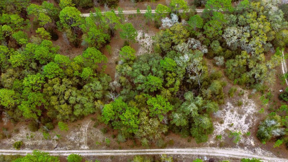 Foto de propiedad en 0 SW 152 Terrace, Ocala, FL 34481 Ocala con MLS# 