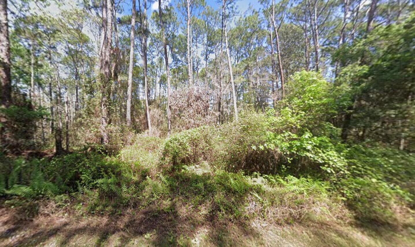 En Venta 418 Palm Way, Georgetown, FL 32139, Georgetown, FL 32139