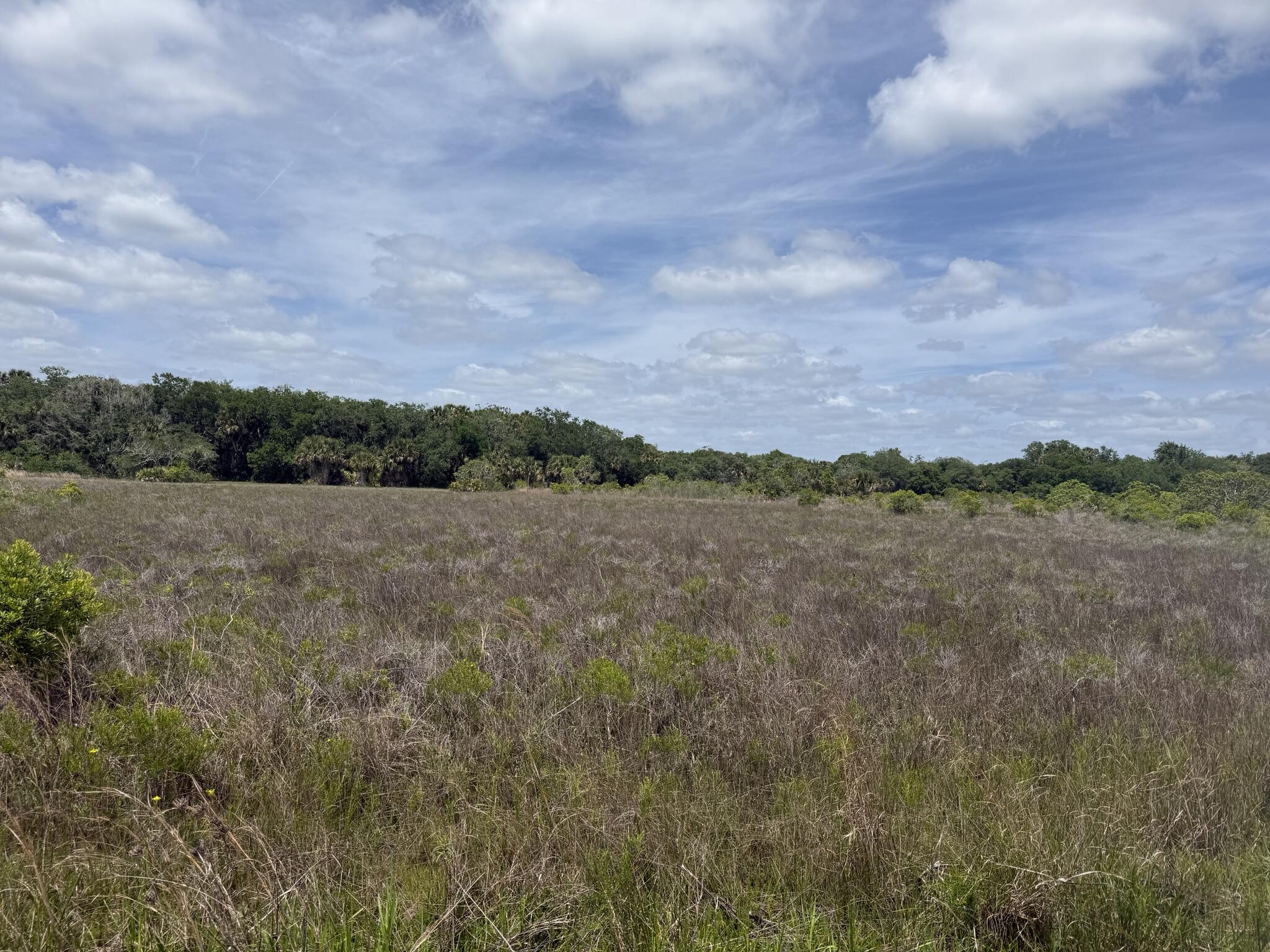 En Venta 15575 NW 296th Street, Okeechobee, FL 34972, Okeechobee, FL 34972