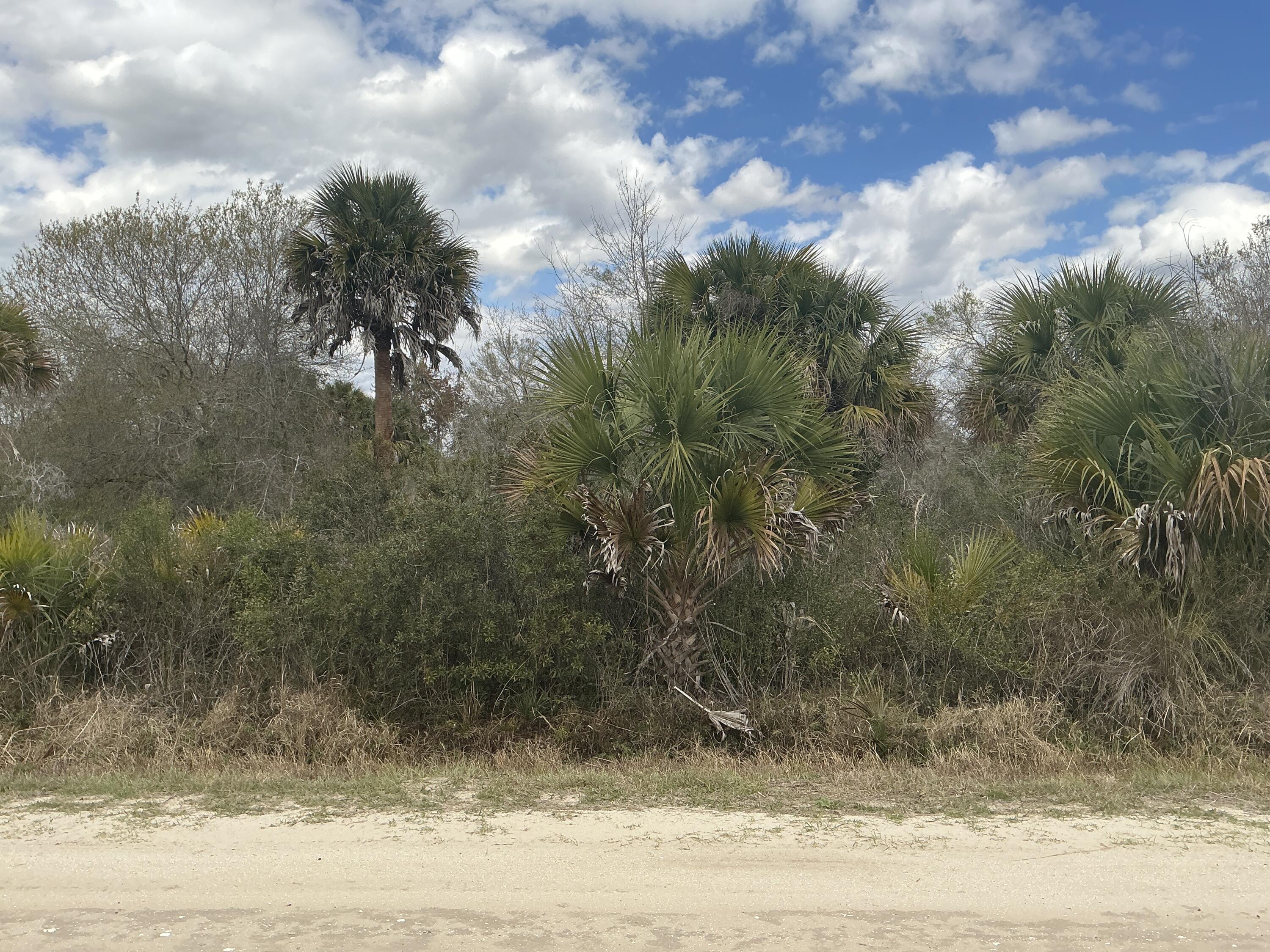 En Venta 20639 NW 300th Street, Okeechobee, FL 34972, Okeechobee, FL 34972
